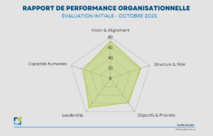 Quand réaliser un Diagnostic de Performance Organisationnelle 1 Diagnostic de performance organisationnelle